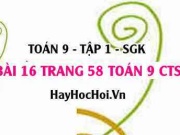 Bài 16 trang 58 Toán 9 tập 1 Chân trời sáng tạo